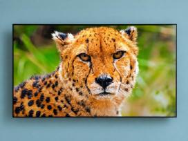 Samsung 75" Qe75q70b Qled 4k Smart TV 190 cm