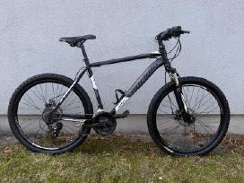 MTB dviratis L