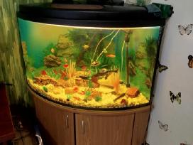 Akvariumas 250l