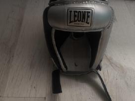 Leone 1947