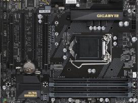 Gigabyte Ga-b250m-d3h pagrindinė plokštė (Lga1151)