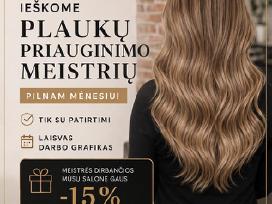 Darbo vieta plaukų meistrams bei vizažo
