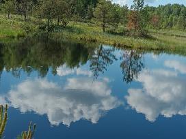 Eksliuzyvinis sklypas