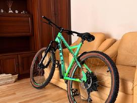 Bulls Sharptail L