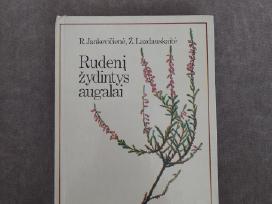 R. Jankevičienė. Rudenį žydintys augalai. 1991 m.