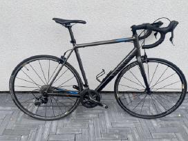 Canyon Endurace AL