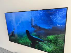 LG Oled 55