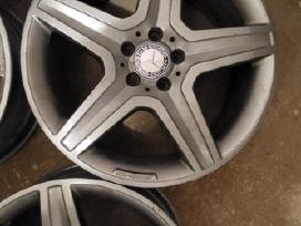 R19 lieti ratai