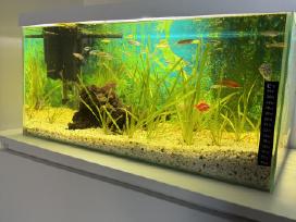 Akvariumas