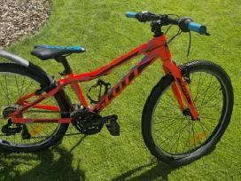 Scott scale 24"