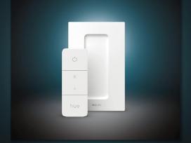 Philips hue jungtukas