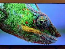 Samsung Qe50q60b 4k Qled Youtube Netflix Smart TV