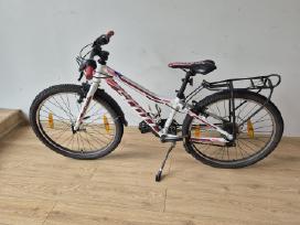 Scott 24" vaikiškas kalnų dviratis