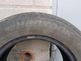 Vasarinės padangos Hankook