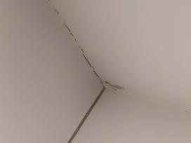 Butų paruošimas nuomai / Priežiūra po nuomininkų