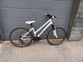 Dviratis Lady sport classic