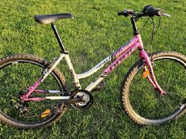 Drag Hacker Lady Tz-36 15'' White Pink dviratis