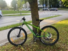 Kalnų dviratisscott Roxter 610 paaugliui 145-160cm