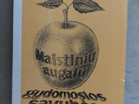 Maistinių augalų gydomosios savybės
