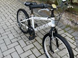 Vaikiškas dviratukas 20" ratais Spectrum 20