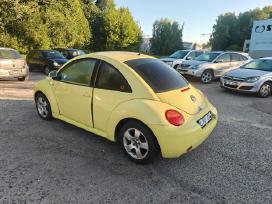 VW beetl