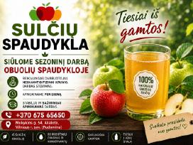 Sulčių spaudykla, ieško komandos nario (Rudamina)