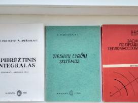 Integralas. Tiesinių lygčių sistemos. Zadačnik