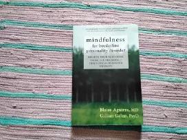 Mindfulness for Borderline Personality Disorder
