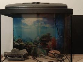 Akvariumas 30l su filtru dekoracijomis