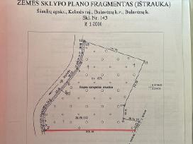 Parduodama 3,3 Ha Miško Dalis Prie Dubysos