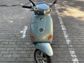 Vespa motoroleris