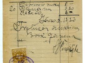 1919 Ona Vitkauskytė Kaunas retas žyminis ženklas
