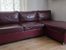 Kampinė odine sofa