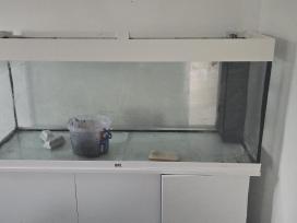 Atiduodu Juwel akvariumą