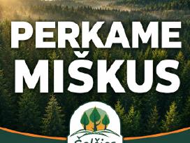 Brangiai Perkame Įvairius Miškus Šalčininkų Raj.