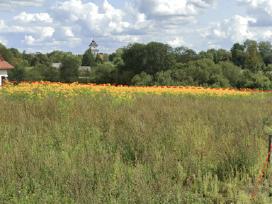 Namų valdos sklypas Varnių m., Telšių raj.