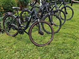 Cube KTM bergemont gazelle trek kalkoff pegasus