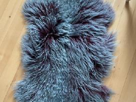Lanos kailio kilimelis
