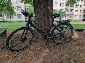 Raleigh Sport XT (M dydis)