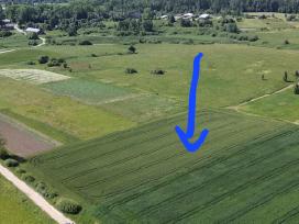 Parduodamas 84 a sklypas Širvintų raj. Kaimynų k.