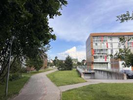 Išnuomojamas 2 Kambarių Butas. Dragūnai
