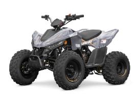 Vaikiškas keturratis Linhai Atv 110 Įpurškimas