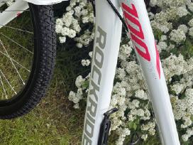 Dviratis Rockrider St 100
