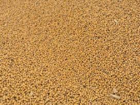 Garstycios 1000e/t big bag arba 25kg