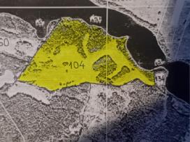 Parduodamas miškų ūkio paskirties sklypas