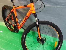 MTB tipo dviratis " Focus "