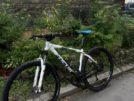 MTB dviratis Black Forest Focus