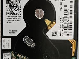 HDD Wd Blue 1tb, nešiojamo kompiuterio