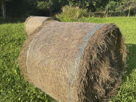 Šienas