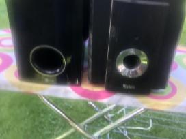 Muzikos koloneles